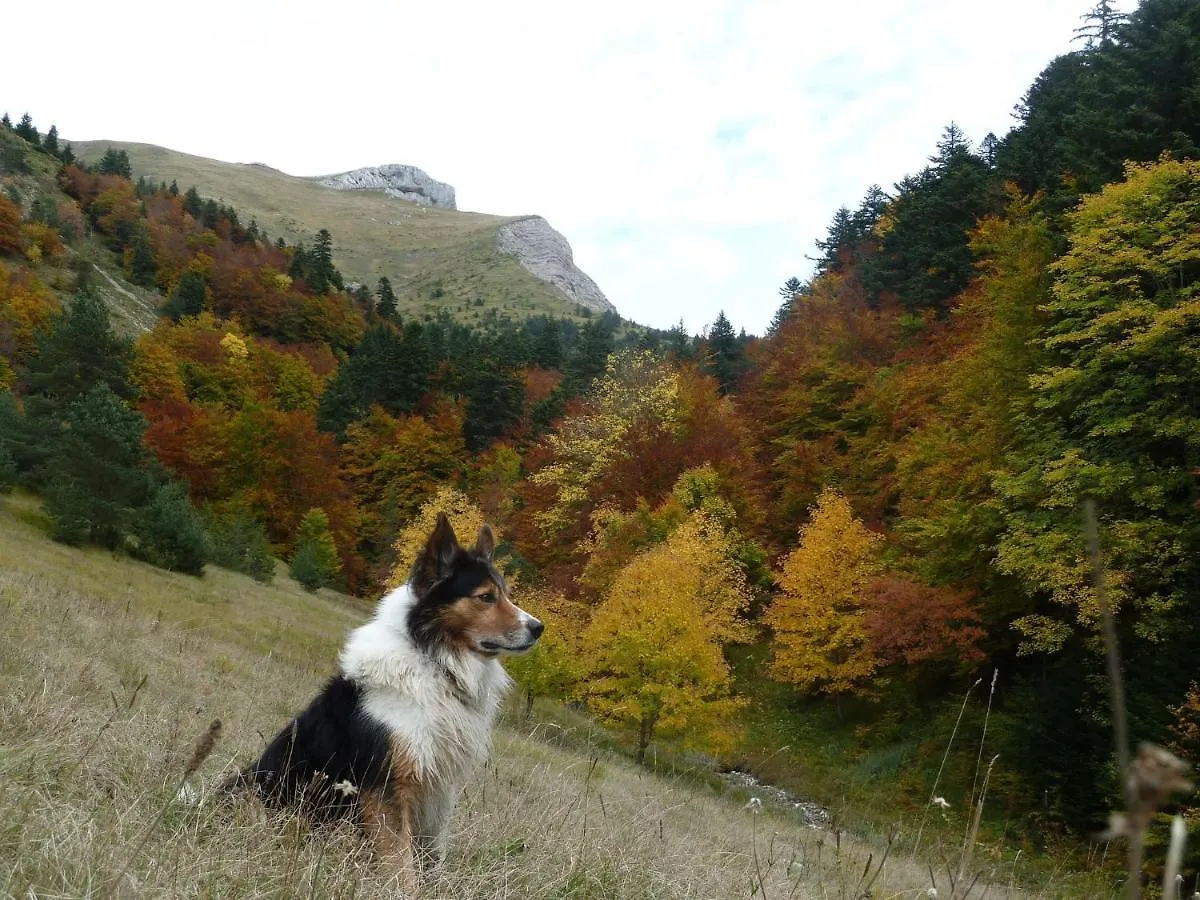 Apartment With Mountain Views Lus-la-Croix-Haute